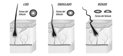 Método Curly - Imagen 7
